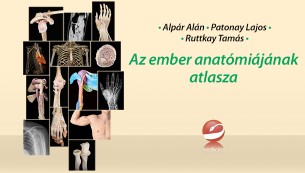 Az ember anatómiájának atlasza